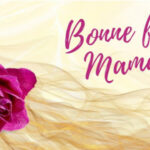 Rose violette sur une voile avec texte "Bonne fête maman"