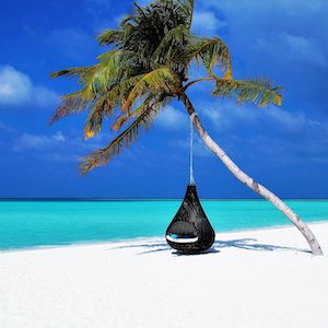 hamac sous un palmier de plage paradisiaque